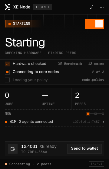 Starting: hardware checked, connecting to core nodes.